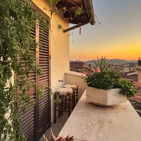 Attico Altucci 아레초